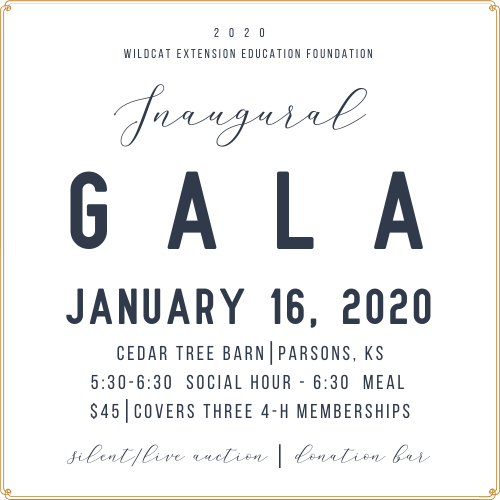 Wildcat Extension Education Foundation Inaugural Gala
