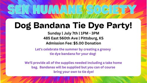 Dog Bandana Tie Dye Party